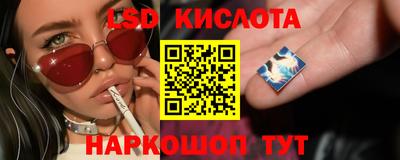 ГАЛЛЮЦИНОГЕННЫЕ ГРИБЫ Бузулук