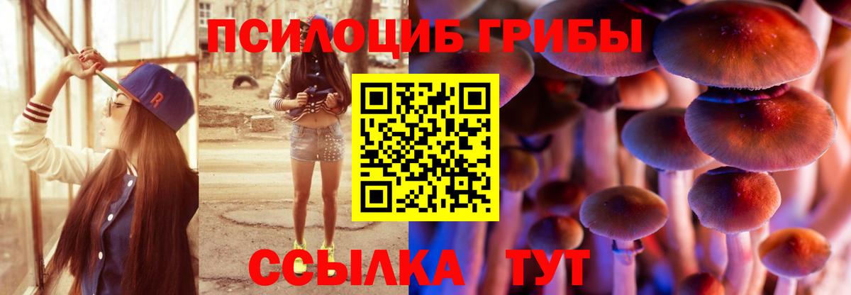 Псилоцибиновые грибы мухоморы Черемхово